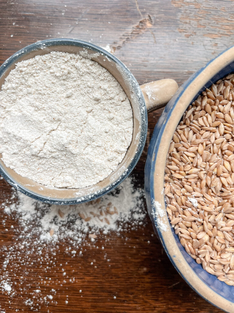 blue bowl with einkorn wheat berries and a cup of flour