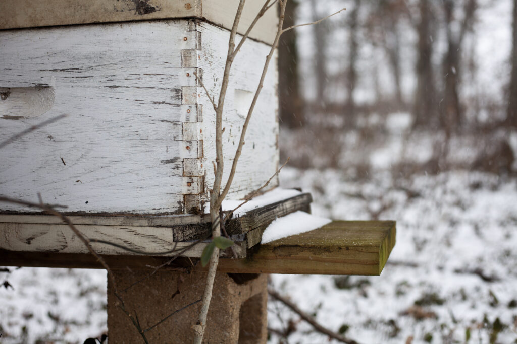 a beehive in the winter snow